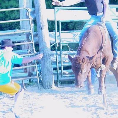 cowboys ranching work
