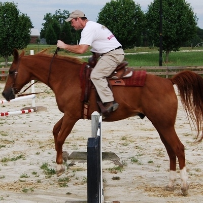 horsejumping