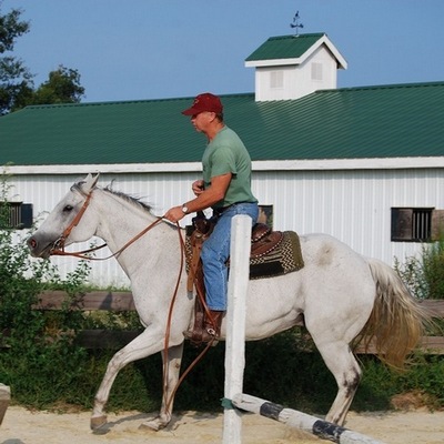 horse trainer